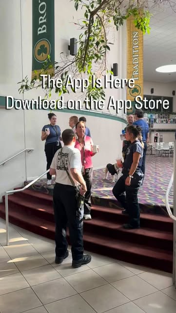 Instagram reel: the app is here