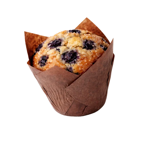 Blueberry Muffin